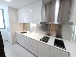 Park Infinia At Wee Nam (D11), Condominium #581759201